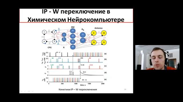 В.К.Ванаг. Иерархические сети химических микроосцилляторов и "ИИ"