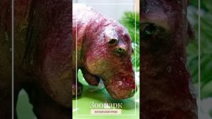 Авторская коллекция ватной ёлочной игрушки Елены Лысенко "Зоопарк"
