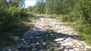 Дорога