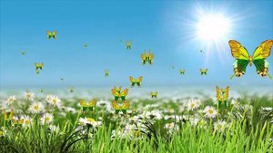 Футаж "Бабочки танцуют 2"