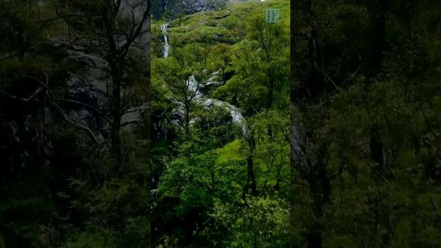 Саблиминал на успешный день и удачу в делах | позитивные установки | аффирмация | звуки леса релакс