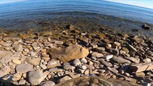 Прогулка по осеннему лесу на о. Русском 13.10.2024 на мопеде