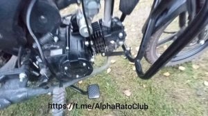 Alpha Rato Warrior. 125 или 140 кубов? Обман в магазине?