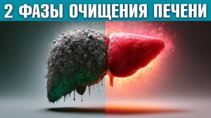 Детоксикация печени: Как почистить печень? Детокс печени и организма. Часть 2