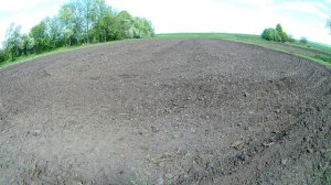 Сев медоносов для пчёл