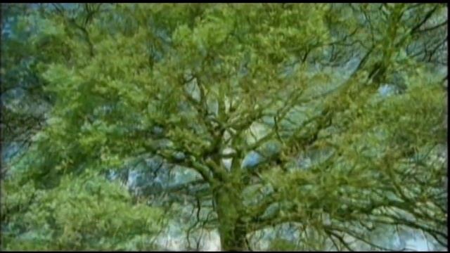 GENESIS Creation Of The World - NLFC смотреть онлайн