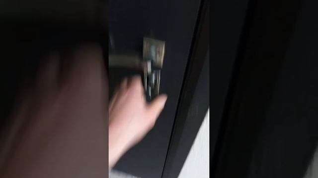 Отзыв Промет Рефлект 2