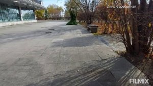 Осень в городе. Благовещенск октябрь 2024г