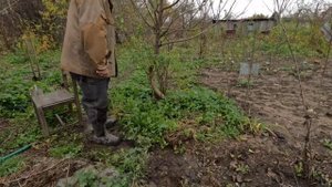 Хороший новый инструмент для прополки и рыхления почвы.