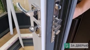 Обзор двери Гранит С9