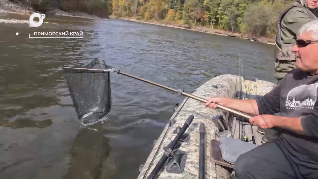 Разведка блогом / Горная рыбалка в Приморье / 15.10.24