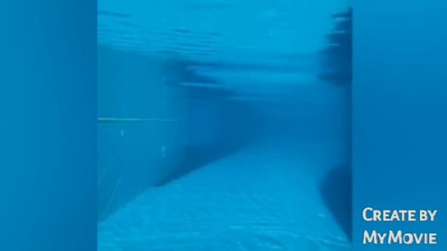 #про#блоги#влог/Деревенский дневник очень многодетной мамы/Идоло божек в лице побирухи!!! смотреть онлайн