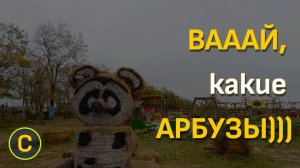 Ставрополь. Бахча Пономаревых))))