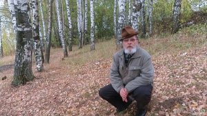 г Рыбинск. Золотая Осень ! 30 сентября 2024 год.