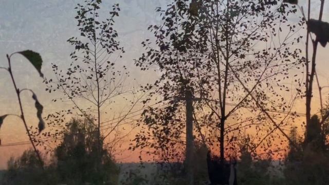 Красивая песня про осень 🍁🍂🍃