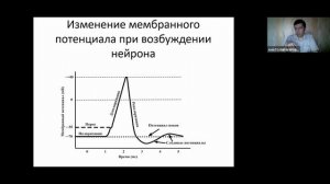 Что такое ЭМГ? Теория и анатомия | Вебинар Нейрософт