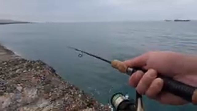 Ловил маленькую ставриду, а клюнул ЛОБАН! Ловля ставриды на самодур.
