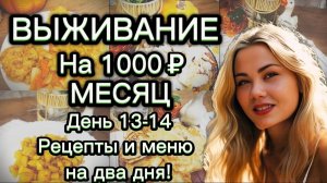 ВЫЖИВАЕМ НА 1000 РУБЛЕЙ МЕСЯЦ с человека, день 13-14. Рецепты блюд на два дня. Экономные рецепты.