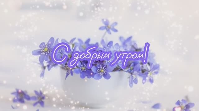 С добрым утром | DY-4 #доброеутро #сдобрымутром