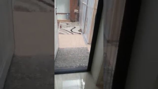 Сетка-гармошка на двери