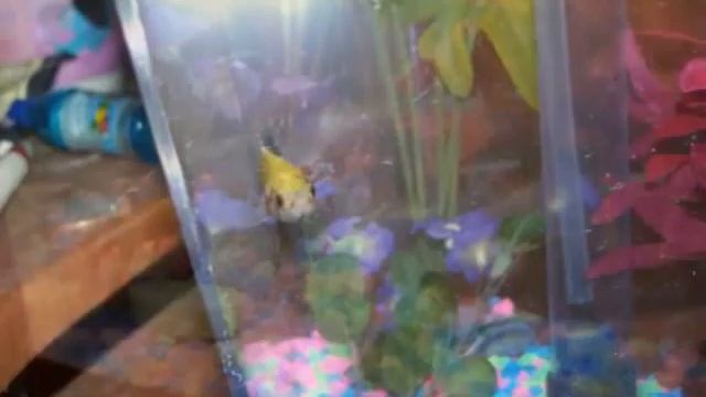 When I get older -Redone смотреть онлайн