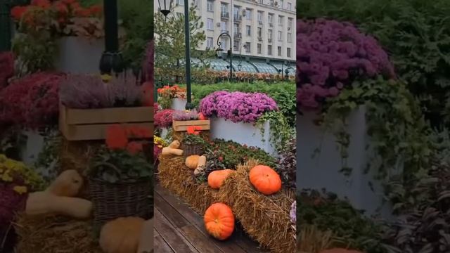 🎃 На Тверской площади царит атмосфера золотой осени