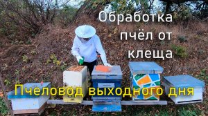 Обработка от клеща варроа. Пчеловод выходного дня  (13 октября 2024)