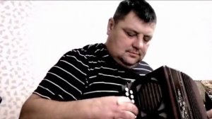 белые розы