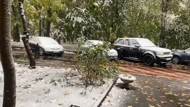 Погода в Москве. Пераый снег. Середина октября. Осень смотреть онлайн