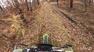 Осенний движ 😎