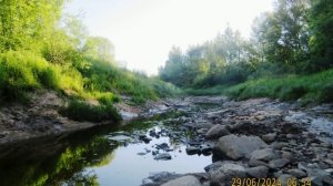 г Рыбинск. 29 июня 2024 год. Заволжье.