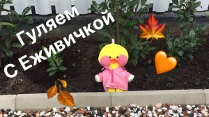 Гуляем с Ежевичкой