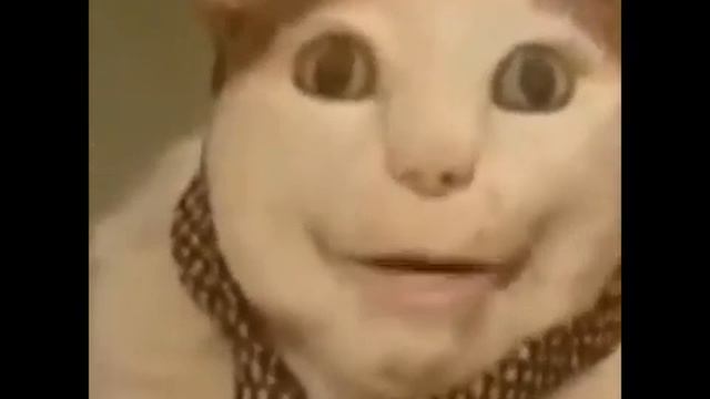мем бу испугался не бойся