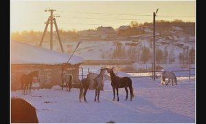 Падает снег! Автор и исполнитель Василий Горчаков
