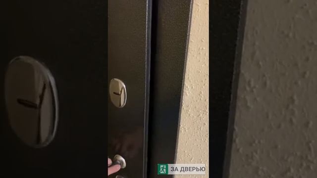 Отзыв о двери Райтвер стронг 100 белый матовый