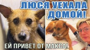 💖 ЛЮСЯ, нежная наша девочка уехала ДОМОЙ❗❗ Ей привет от Макса, бывшего соседа по вольеру❗