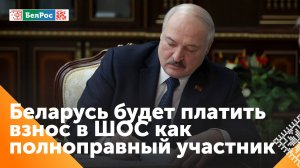 Лукашенко одобрил проект Протокола о внесении изменений в Соглашении о формировании бюджета ШОС