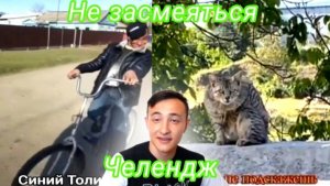 Попробуй, не засмеяться челендж \Юмор\Животные\Смешные моменты.