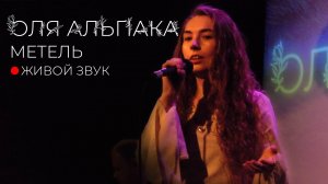 Оля Альпака - Метель (29.02.24 фестиваль ТЕПЛО )