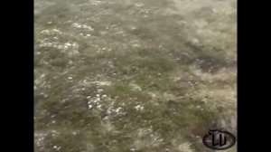 Тайны Кольского полуострова.  Чёрный туман ( столкновения товарища майора).