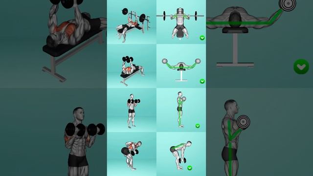 Upper Body Strength Training - Master the Fundamentals!