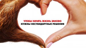 Мой сосед — монстр - Your Monster