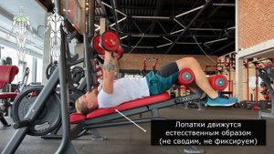 Жим гантелей на скамье с отрицательным углом наклона 2