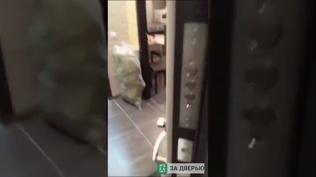 Отзыв Портика 4Л22 Графит Про