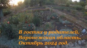 Воронеж . Осень 2024 год. Начало октября.