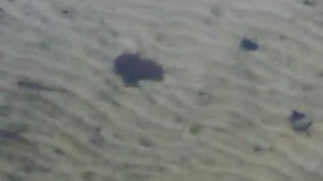 Окуни смотреть онлайн