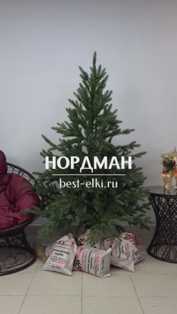 Ель искусственная «НОРДМАН». Обзор новогодней елки. Елки на best-elki.ru🌲Доставка по России🇷🇺