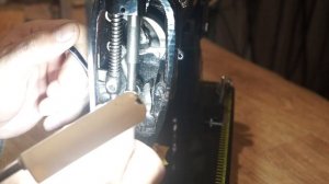 Китайская прямострочка. (1)