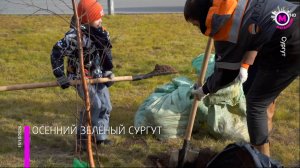 Мегаполис – Посадка деревьев – Сургут