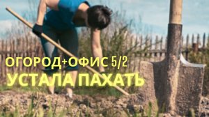 Устала пахать! Огород, и работа 5/2. Как вырваться? - Ирина Лебедь